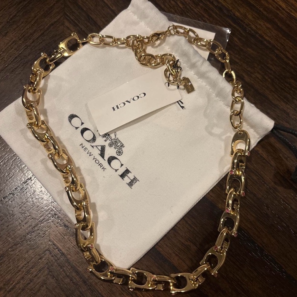 Coach Signature Link Pink CZ Necklace NWT